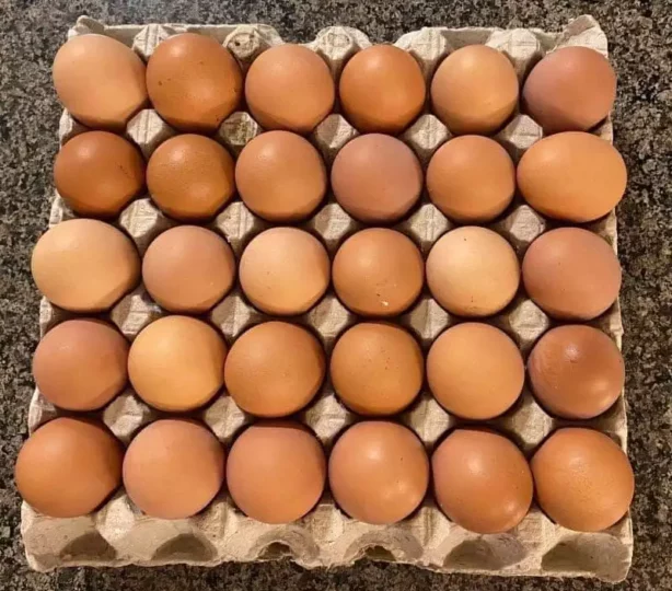 30 eggs per tray