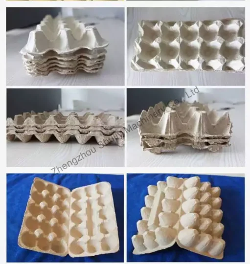 egg trays and cartons 